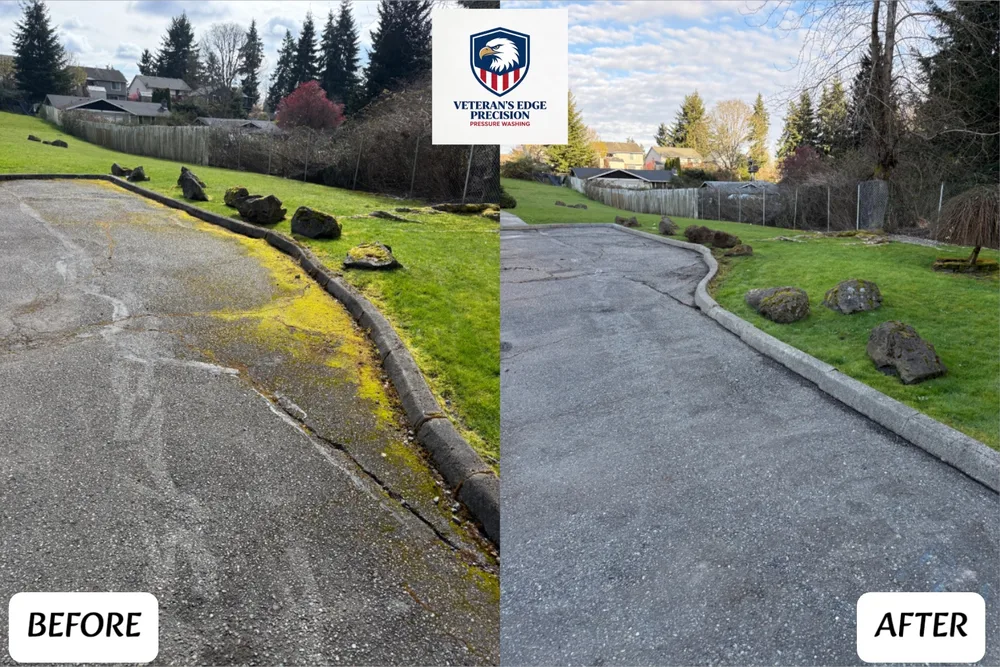 Before and after driveway entrance pressure washing