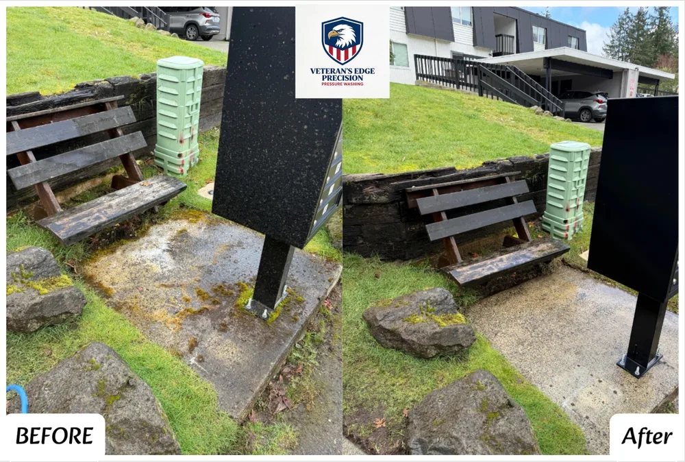 Before and after entry steps cleaning result