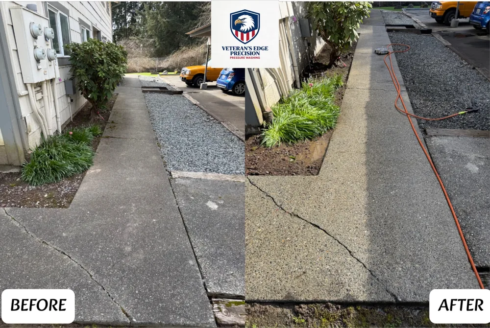 Before and after side yard concrete cleaning