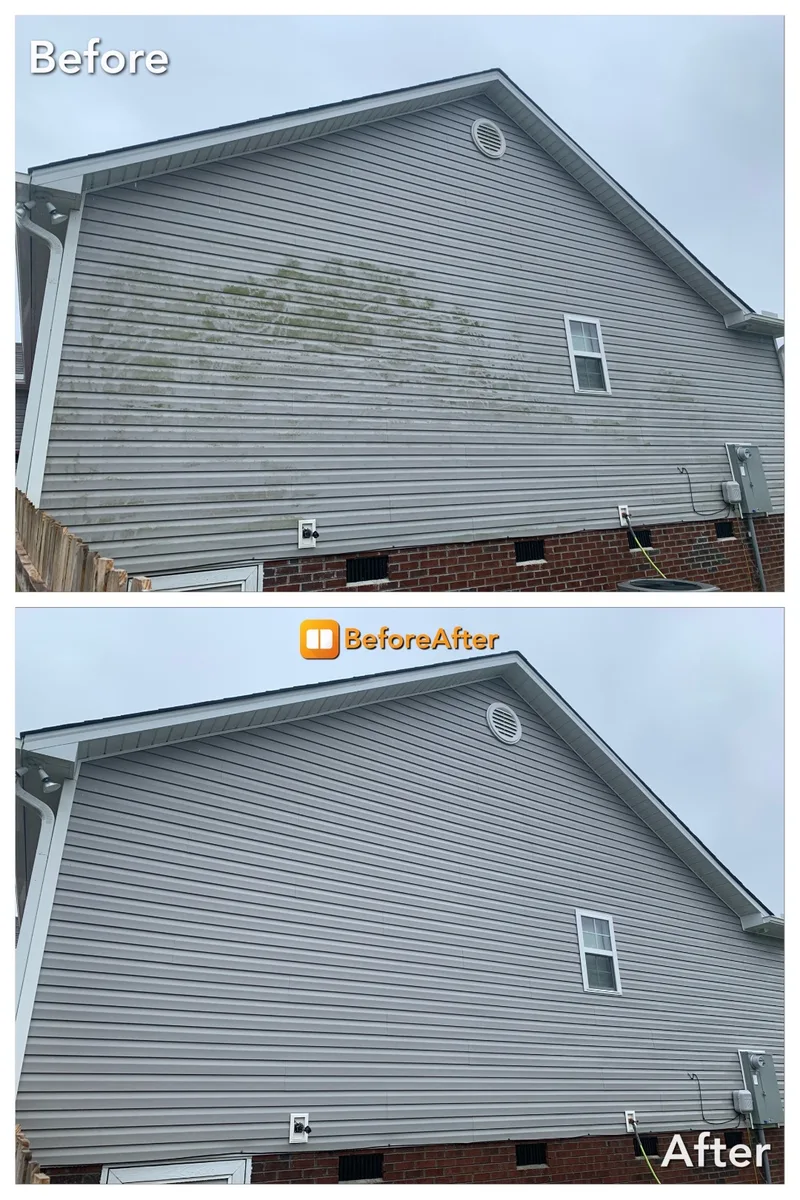 Before and after siding soft wash result with algae removed