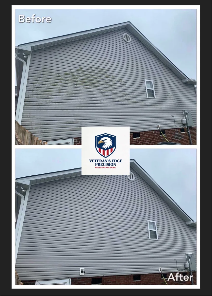 Before and after siding algae removal