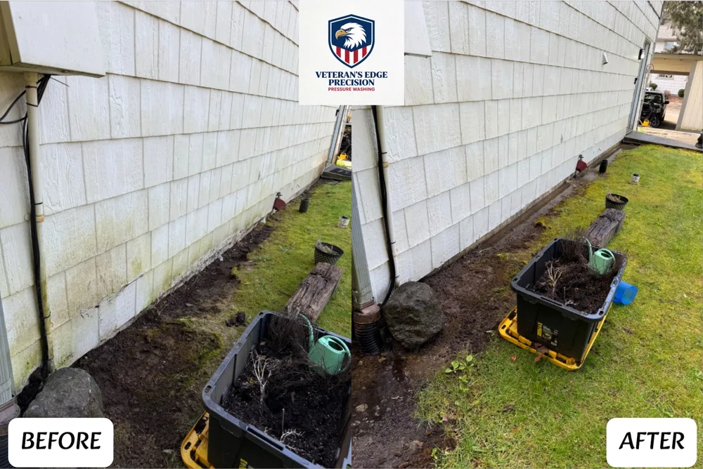 Before and after siding and foundation soft wash